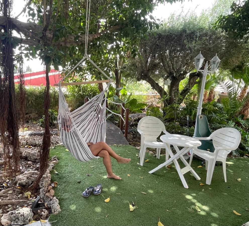 1 Habitacion Con Bano Privado Frente A La Piscina, Maximo Para 4 Personas, No Es La Casa Completa,1Cama Y 1 Sofa-Cama San Vicente Raspeig מראה חיצוני תמונה